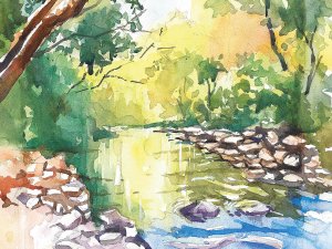 RockCreekPark_Stream.