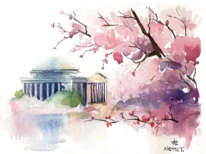 Jefferson Memorial (Cherryblossoms)